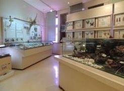 🏛️ 자연유학관